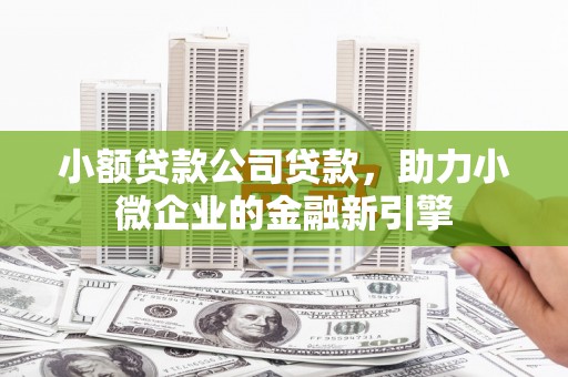 浦口小额贷款公司贷款，助力小微企业的金融新引擎