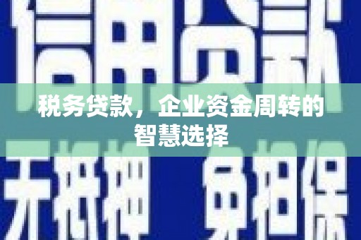 浦口税务贷款，企业资金周转的智慧选择