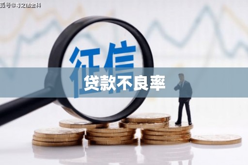 浦口贷款不良率
