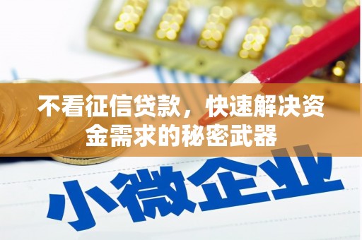 浦口不看征信贷款，快速解决资金需求的秘密武器