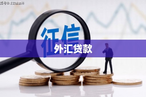 浦口外汇贷款
