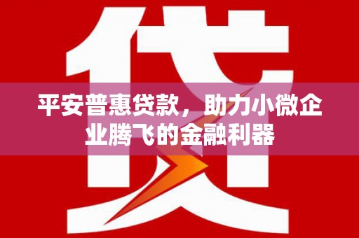 浦口平安普惠贷款，助力小微企业腾飞的金融利器