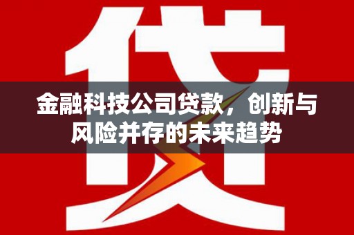 浦口金融科技公司贷款，创新与风险并存的未来趋势