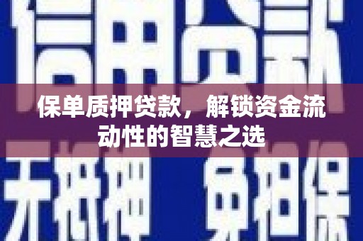 浦口保单质押贷款，解锁资金流动性的智慧之选