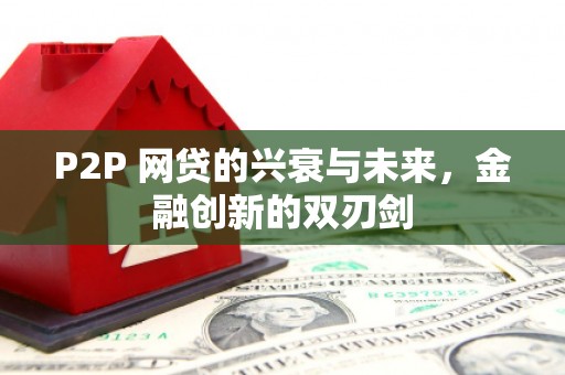 浦口P2P 网贷的兴衰与未来，金融创新的双刃剑