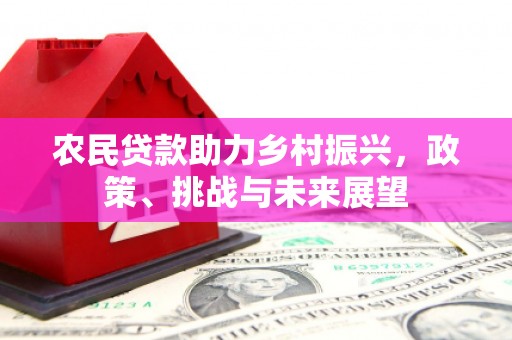 浦口农民贷款助力乡村振兴，政策、挑战与未来展望