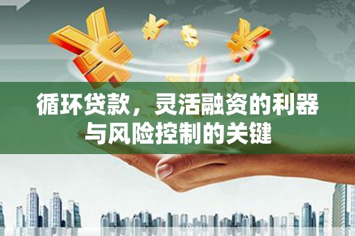 浦口循环贷款，灵活融资的利器与风险控制的关键