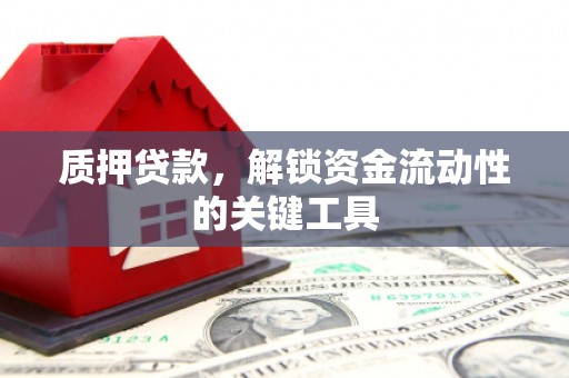 浦口质押贷款，解锁资金流动性的关键工具