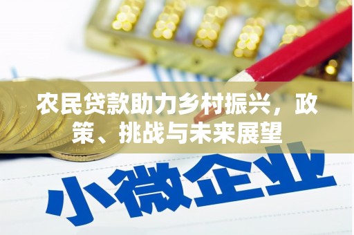 浦口农民贷款助力乡村振兴，政策、挑战与未来展望