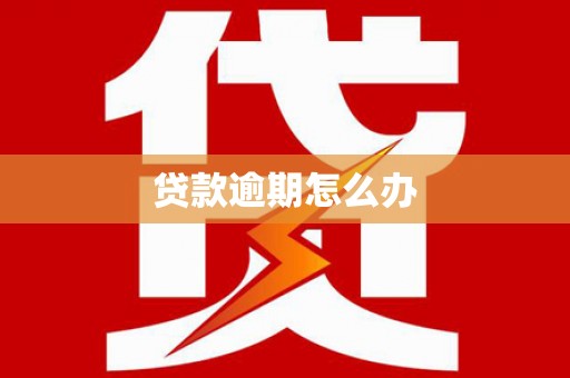 浦口贷款逾期怎么办