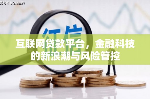 浦口互联网贷款平台，金融科技的新浪潮与风险管控