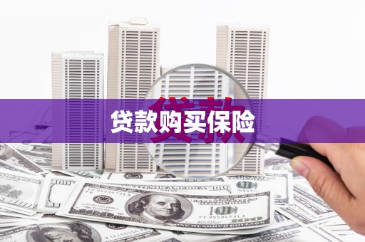 浦口贷款购买保险