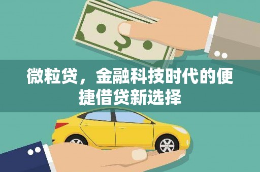 浦口微粒贷，金融科技时代的便捷借贷新选择