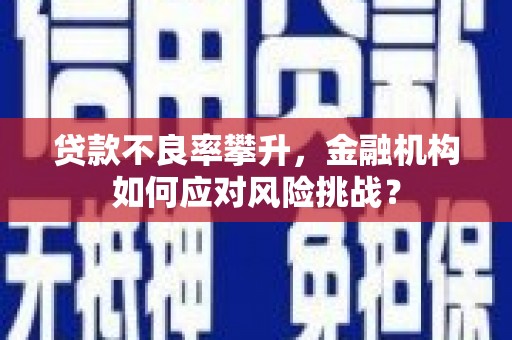 浦口贷款不良率攀升，金融机构如何应对风险挑战？