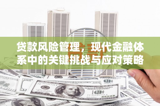 浦口贷款风险管理，现代金融体系中的关键挑战与应对策略