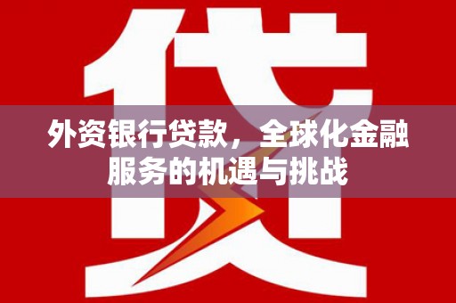浦口外资银行贷款，全球化金融服务的机遇与挑战