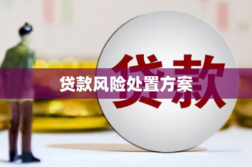 浦口贷款风险处置方案