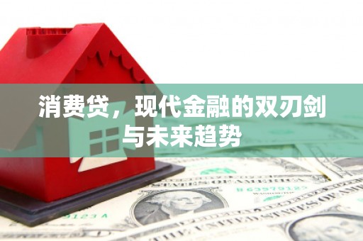 浦口消费贷，现代金融的双刃剑与未来趋势